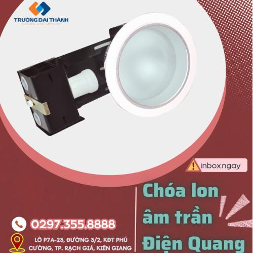 Chóa lon âm trần Điện Quang ĐQ HRD02G 160E27 ( ngang 6" (160mm) có kiếng 1xE27 )